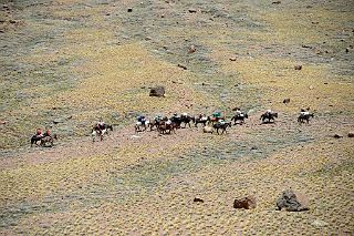 06 The Muleteers Lead Their Mules On The Opposite Side Of The Vacas River Between Pampa de Lenas And Casa de Piedra On The Trek To Aconcagua Plaza Argentina Base Camp.jpg